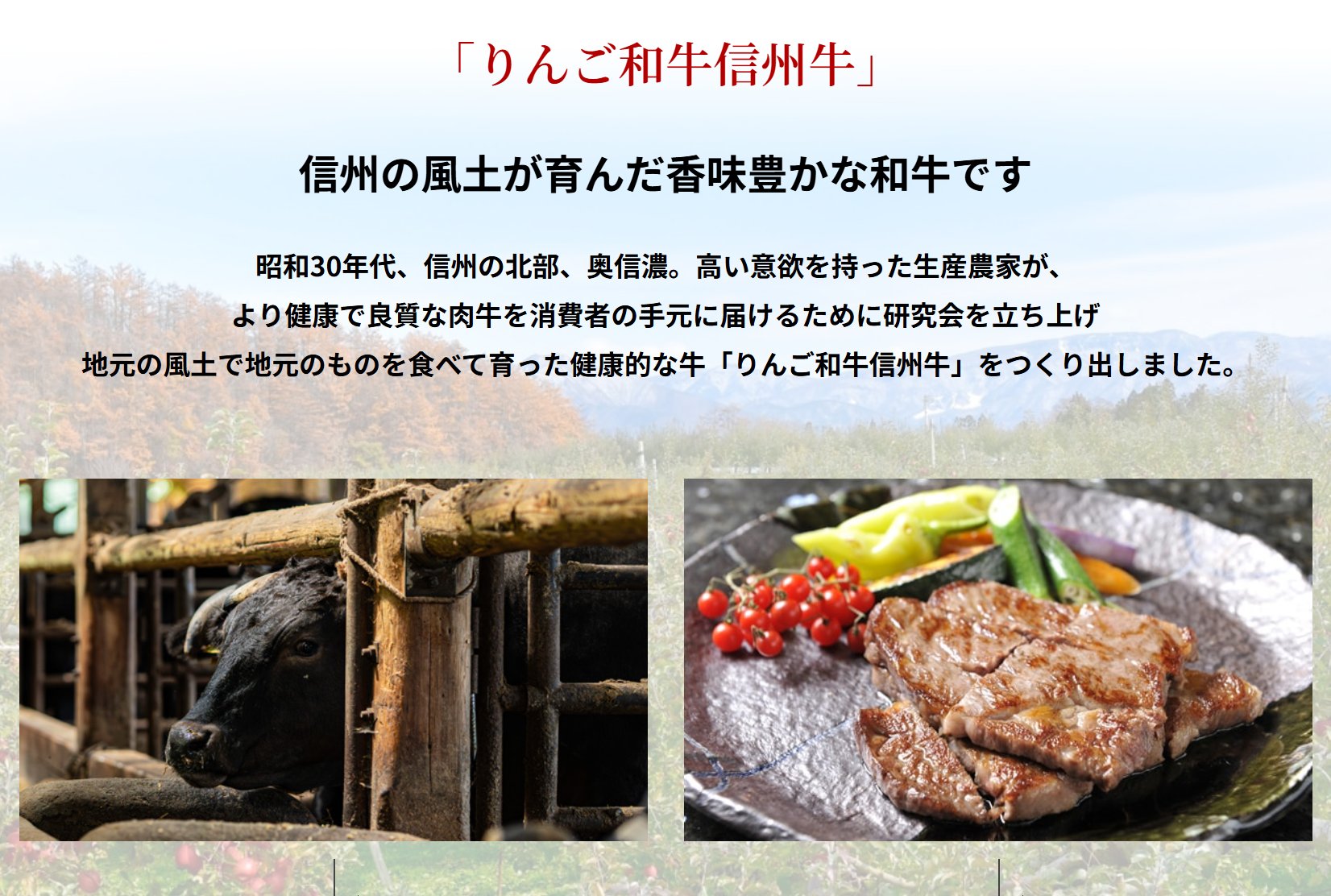 신슈산 사과 찌꺼기를 사료에 도입한 한우 1